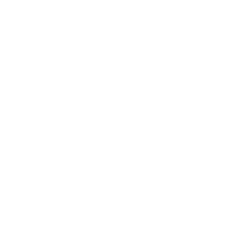 livraison rapide toner king